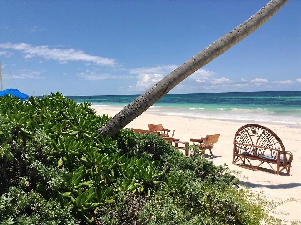 El Caracol Tulum Hotel 0*,