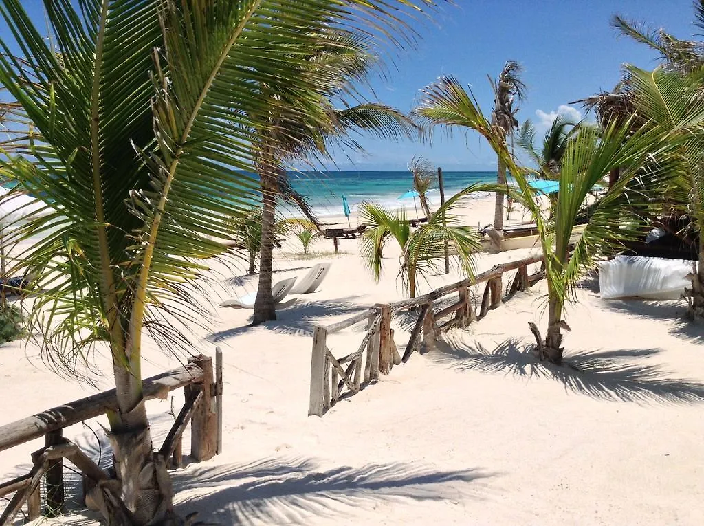 Lodge El Caracol Tulum Hotel