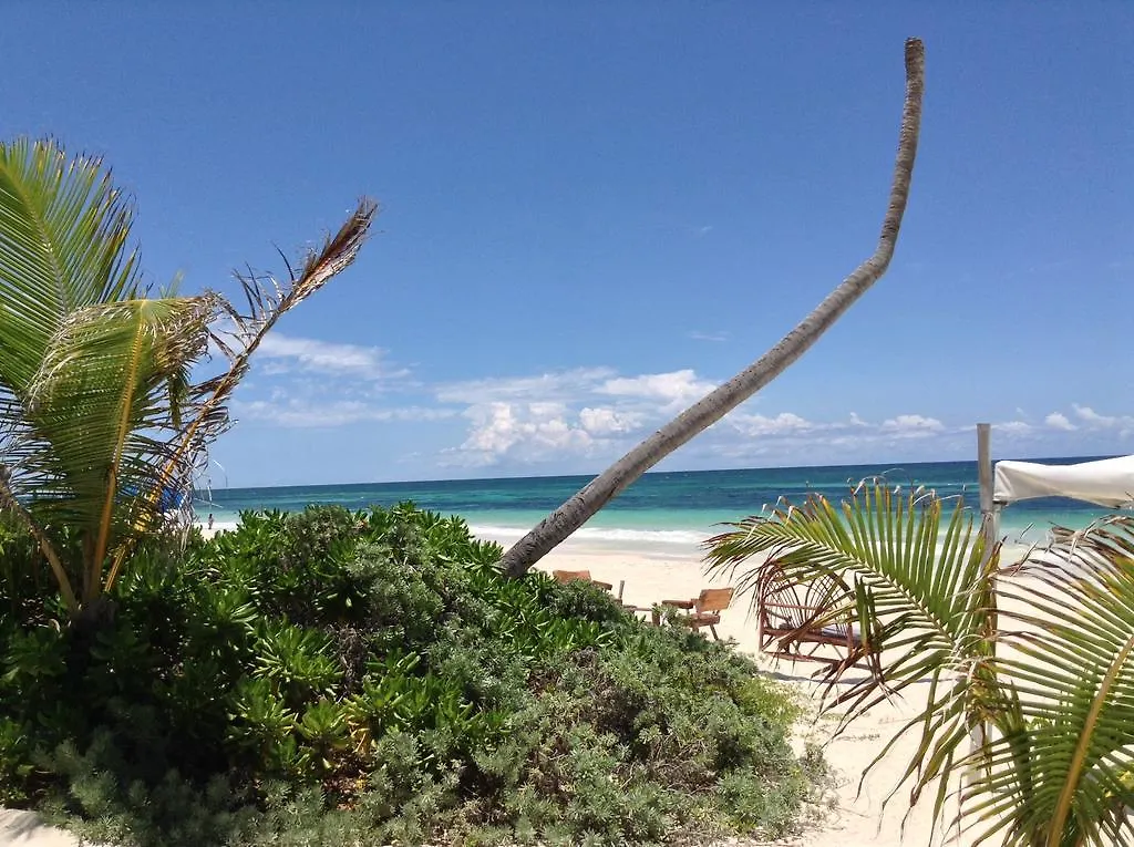 El Caracol Tulum Hotel Mexico