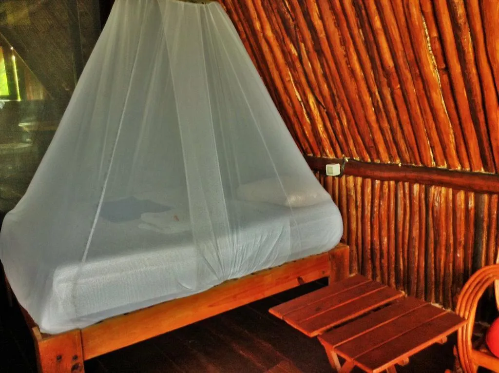Lodge El Caracol Tulum Hotel