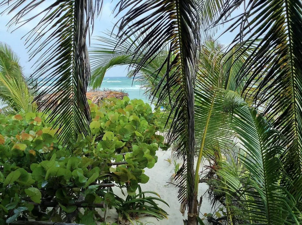 El Caracol Tulum Hotel