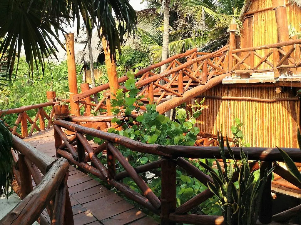 Lodge El Caracol Tulum Hotel