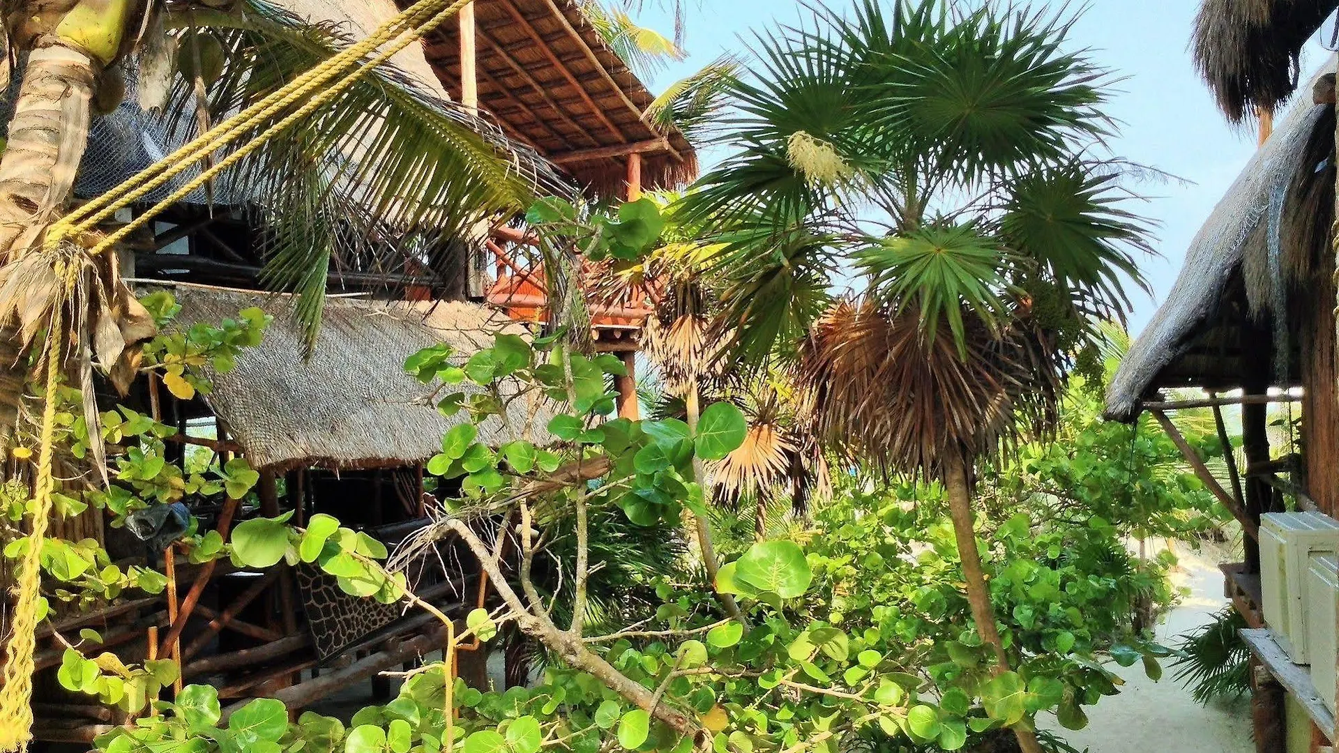 El Caracol Tulum Hotel